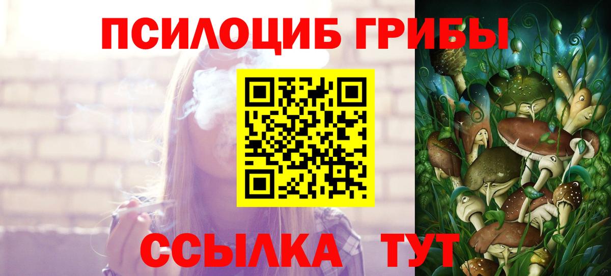 Галлюциногенные грибы прущие грибы Великие Луки