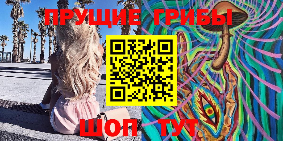 Псилоцибиновые грибы MAGIC MUSHROOMS  Вход с VPN  Великие Луки  Псилоцибиновые грибы Psilocybe 